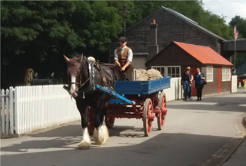 Pony & Cart Blists Hill