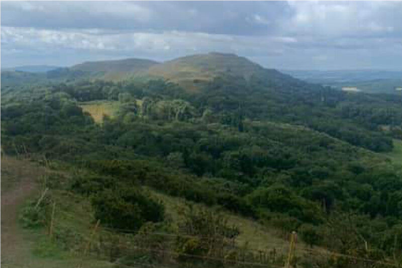 Looking out over the Malverns